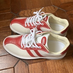 ボーリングシューズ25cmの画像