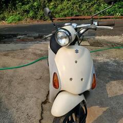 スズキバレトの画像