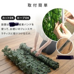 グリーン　目隠しの画像