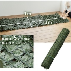グリーン　目隠しの画像