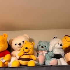 大きめぬいぐるみ 先着順の画像