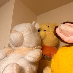 大きめぬいぐるみ 先着順の画像