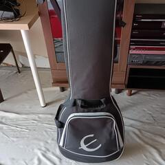 Epiphone　レスポール100　ピック・収納ケース付き　エピフォンの画像