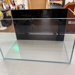 ☆ドリーム荒牧店☆☆ジモティー割引有☆ yee/水槽/黒背景紙の画像