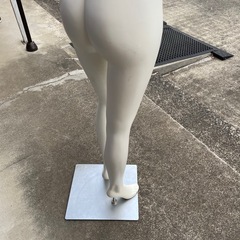 マネキン、トルソーの画像