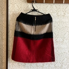 冬スカートの画像