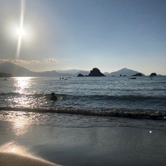 草刈りします！させて下さい。