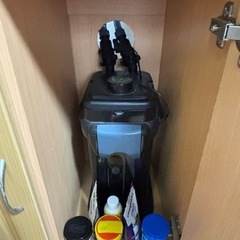 60❌45❌45 水槽　ヒーター外部フィルター生体セットの画像