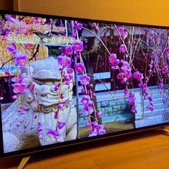 🔥募集中🔥 43インチ 4K テレビ LED‼️外付けHDDで録画できます‼️の画像