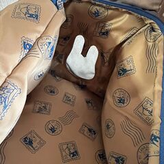 ペット用キャリーバッグの画像