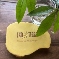 EXO TERRAフィーディングディッシュの画像