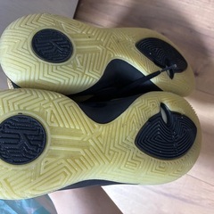 バッシュ　
NIKE カイリー　フライトラップ11EP 25センチの画像