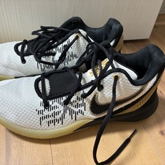 バッシュ　
NIKE カイリー　フライトラップ11EP 25センチの画像