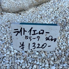 【ライトイエロー　玉砂利3分】お引き取りです　＊御影石・タイル・大理石・砂利・石・石材・庭石・ロックガーデンなど＊の画像