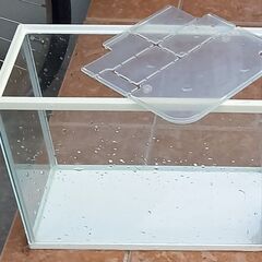 30センチ水槽一式の画像