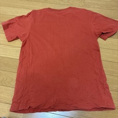 タバスコTシャツの画像