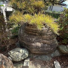 庭石　複数の画像