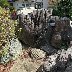 庭石　複数の画像