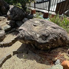 庭石　複数の画像