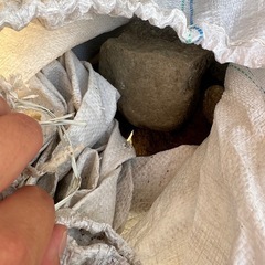 石 大きめの画像