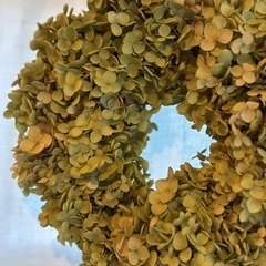 アナベルのリース　紫陽花のリース　の画像