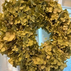アナベルのリース　紫陽花のリース　の画像