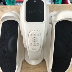 Calfoot EMS ASSIST WALK  美品の画像