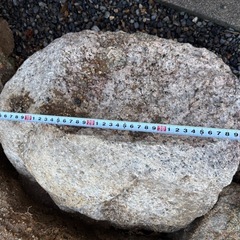 庭石 残り4個 0円 お好きな分をどうぞの画像
