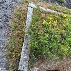 庭石 長方形  長さいろいろ 6本 お好きな分をどうぞの画像