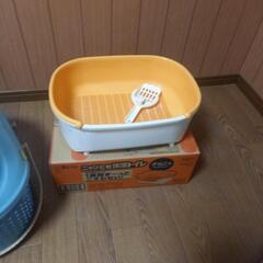 仔猫用トイレの画像