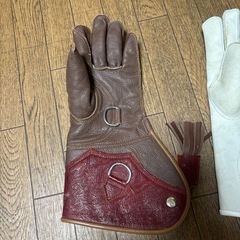 ハリスホーク鷹かフクロウの手袋です
の画像