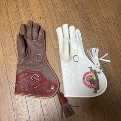 ハリスホーク鷹かフクロウの手袋です
の画像