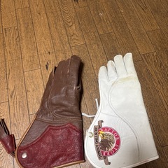 ハリスホーク鷹かフクロウの手袋です
の画像