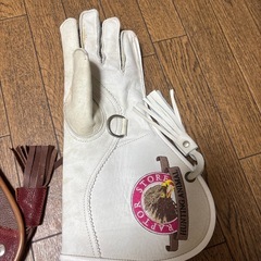 ハリスホーク鷹かフクロウの手袋です
の画像