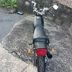 エイプタイプDカスタムの画像