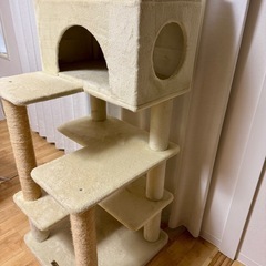 mauキャットタワー　ゴールドクレエの画像