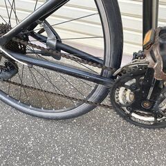 ■ルイガノ LGS-CHASSE クロスバイク マウンテンバイク MTB 700C　3x8段変速 サイズ420mmの画像