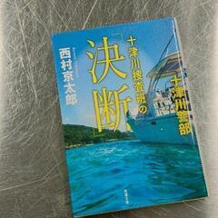 0822-228 文庫本