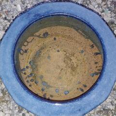 大型火鉢　メダカ　金魚　睡蓮　ガーデニングの画像