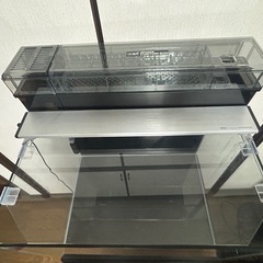 ガラス水槽60×45×45 上部フィルターはGEXグランデカスタム、ライトはGEXパワーIII、専用台付き
の画像