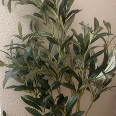 オリーブの木 観葉植物 フェイクグリーンの画像