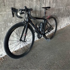 felt  f75の画像