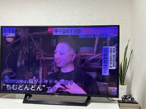 SONY BRAVIA 49型