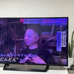 SONY BRAVIA 49型の画像