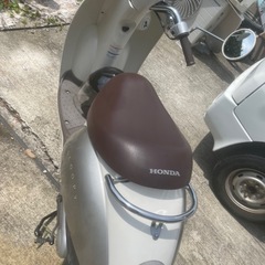 🌟HONDA スクーピーの画像