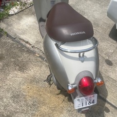 🌟HONDA スクーピーの画像