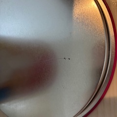 たべっ子どうぶつ　缶の画像