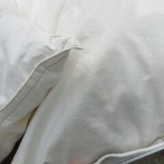 IKEA JORDROK イケア　ヨールドローク　　羽毛枕　まくら　２個の画像
