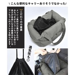 ラディカ　ドライブベッドの画像