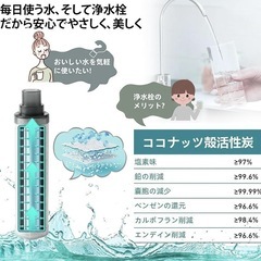 新品 交換用浄水器カートリッジ オールインワン塩素除去 3本の画像